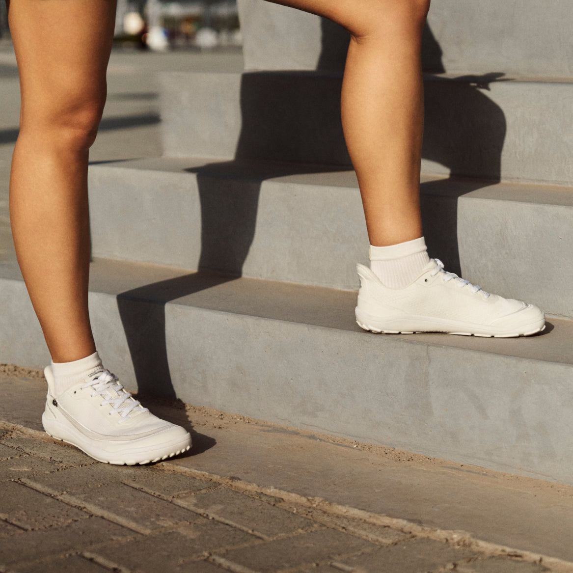 Public Locomotion