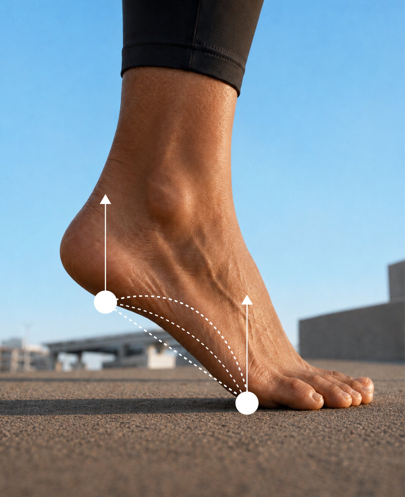 Public Locomotion